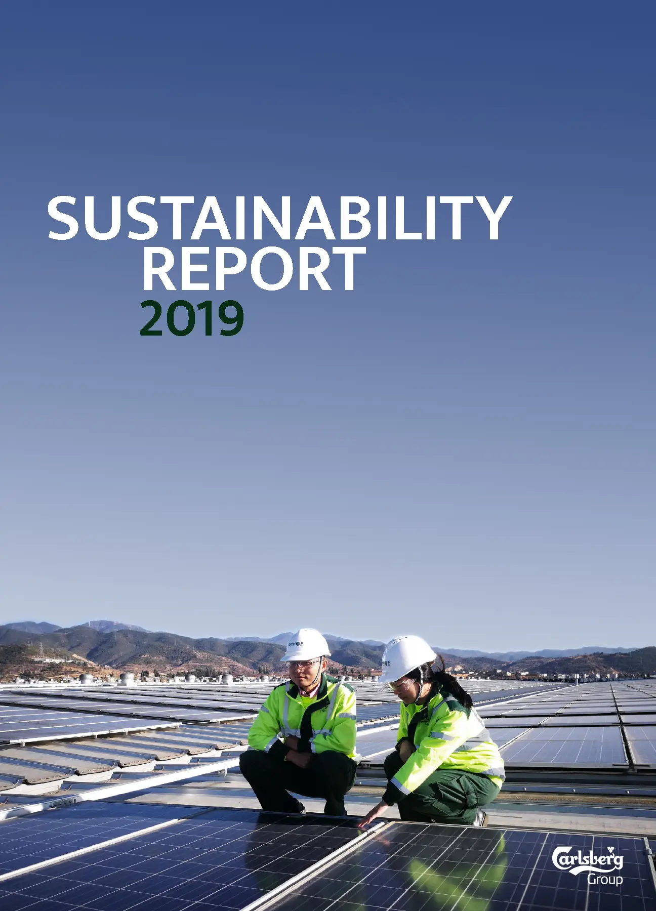 Can sustainability reports be fun?